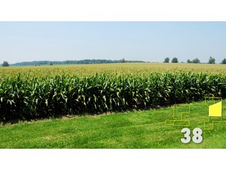 Property photo 145 - Land Auction - 3,379 Acres in 48 Tracts, 2,900 Acres Tillable, Large Contiguous Tracts - Investment Potential